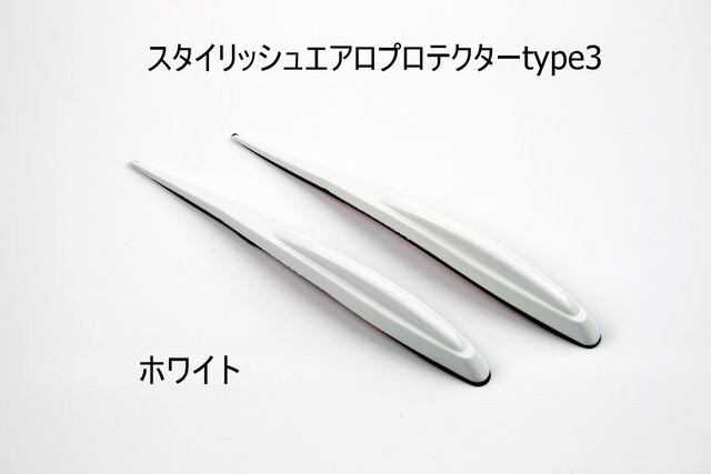 X^CbVGAveN^[ type3 킯  /oCN