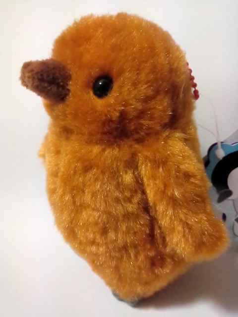 yMAChBCʂ݁  Aj/R~bN/LN^[ 