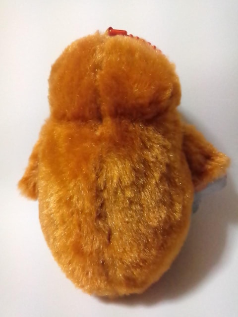 yMAChBCʂ݁  Aj/R~bN/LN^[ 