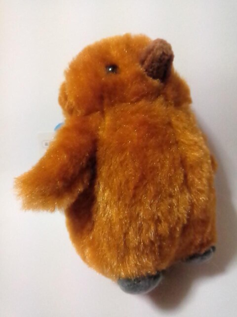 yMAChBCʂ݁  Aj/R~bN/LN^[ 