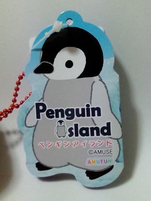 yMAChBCʂ݁  Aj/R~bN/LN^[ 