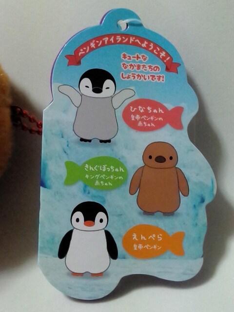 yMAChBCʂ݁  Aj/R~bN/LN^[ 