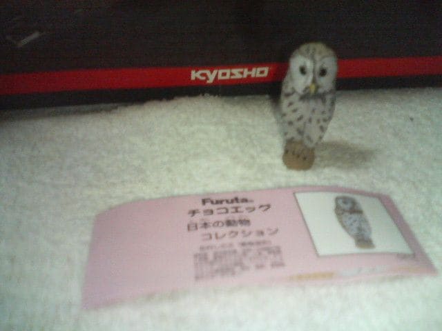 t^  {̓  NVbN    tNE   zr[ 