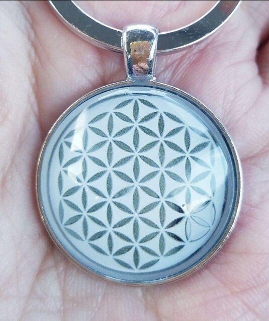 _􉽊w͗lt[IuCt L[z_[   t@bV 