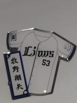 ʐCIY2025 SIsob` 53 qĖI
