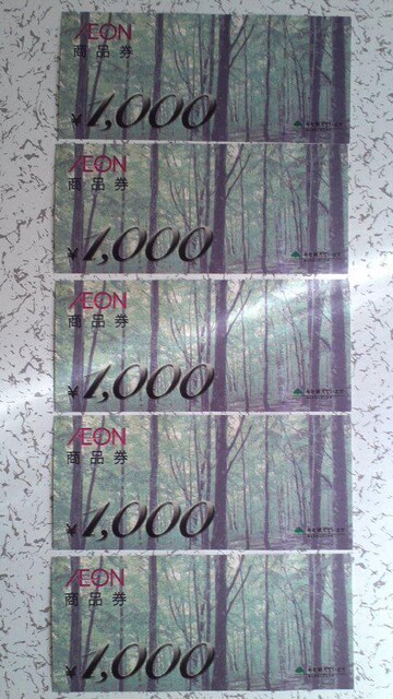 AEON CIi 1,000~(5Zbg) 