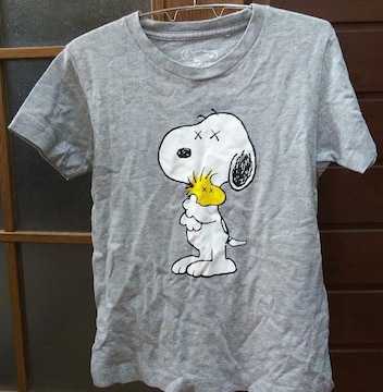 jNJEYKAWS~peanutsXk[s[SNOOPYR{TVcUTO[DFTCY130