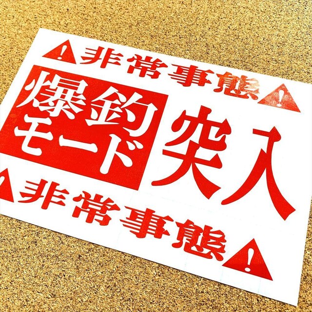 ރ[h˓JbeBOXebJ[ 20cmTCY\ ނ   A[ Cނ N[[{bNX