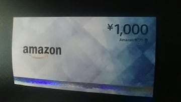 1000~AmazonMtg1Vigpi