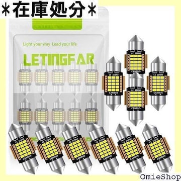T10 31mm LED [v Px zC ȒP 50000Ԓ LEDou 10Zbg 450