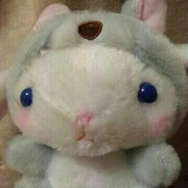 ۂĂҁ[LoBC҂炸~IIJ~