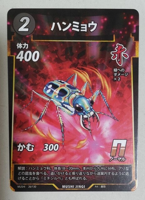峐_@n~E   g[fBOJ[h 