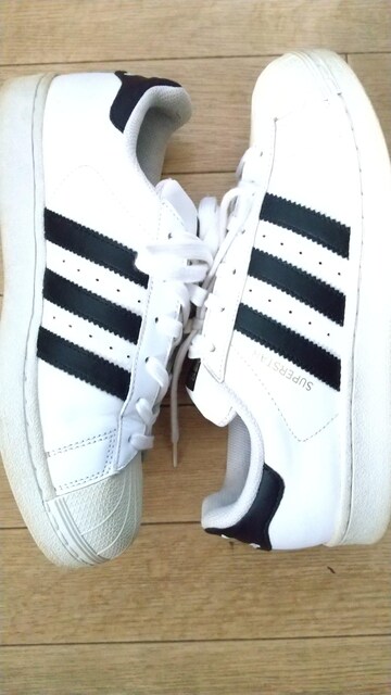 adidas@SUPERSTAR@X[p[X^[@~@25cm