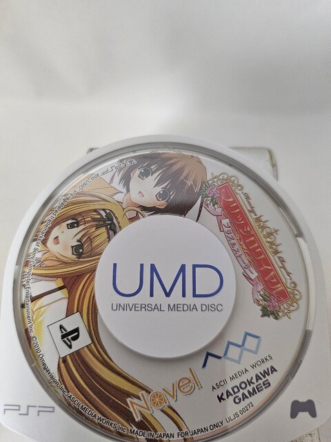 PSP }bWC\tĝ   Q[{/\tg 