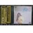 KF 今井美樹 fiesta フィエスタ ゴールドCD 帯付き 完全限定盤