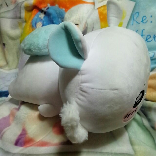 큡BIGʂ݁`K`