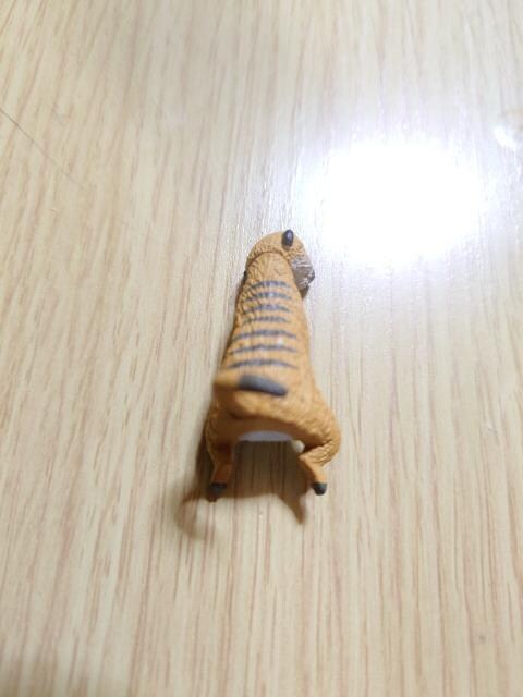 ViAނa4AtBMAAuA~[ALbg  zr[ 