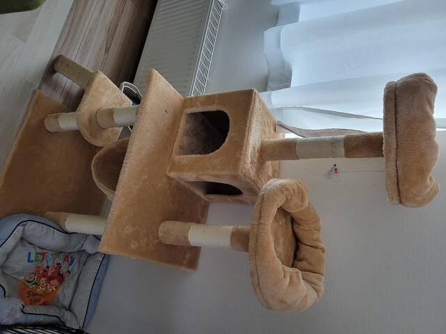 141cm Lbg^[ ܌ B 萫 x[W J[L  ybg/|/| 