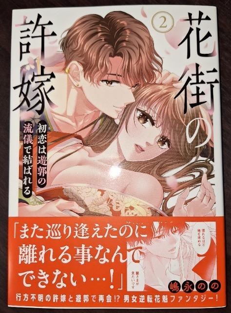 DAITO COMICS TLVԊX̋ŇA͗Vs̗VŌ΂遖î   Aj/R~bN/LN^[ 
