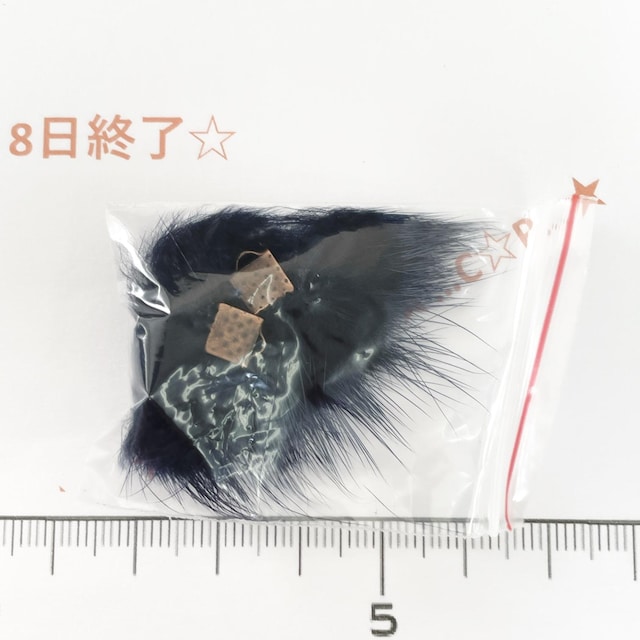 8*ttt@[̃`[@Q@19 