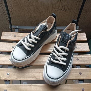 Vi 24cm fB[X Xj[J[ ubN V[Y C  JWA