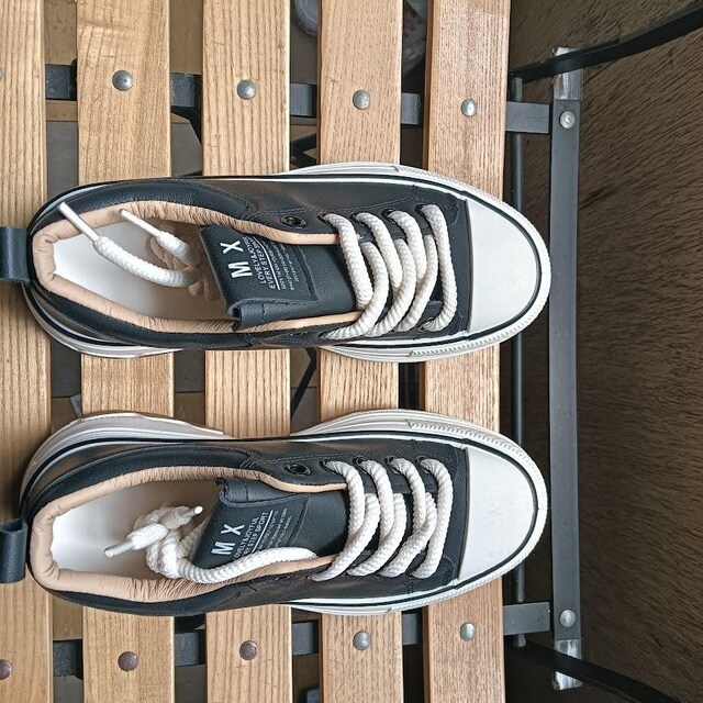 Vi 24cm fB[X Xj[J[ ubN V[Y C  JWA