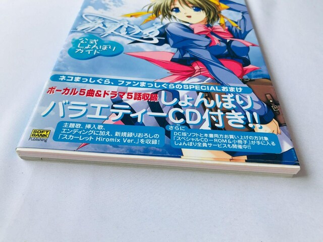 ݂@ڂKCh@U{@Ł@с@CD Mizuiro Official Guide Strategy Book  Q[{/\tg 