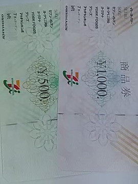 Zu1500~iVi