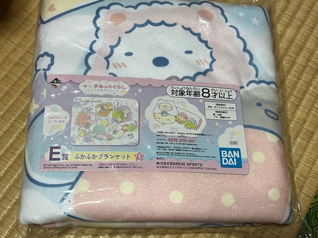 ݂R炵 ӂӂuPbg   CeA/Ct 