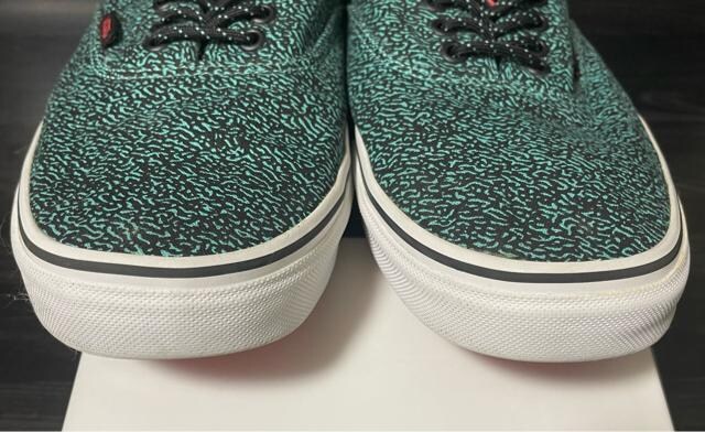 i@Vans Authentic "Speckle" Pack oY@I[ZeBbN@[Jbg/US13/GRN/TB4R