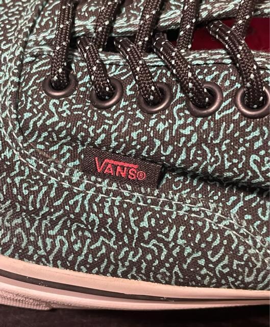 i@Vans Authentic "Speckle" Pack oY@I[ZeBbN@[Jbg/US13/GRN/TB4R