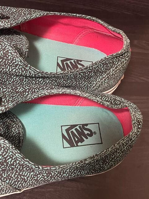 i@Vans Authentic "Speckle" Pack oY@I[ZeBbN@[Jbg/US13/GRN/TB4R