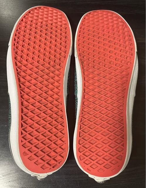 i@Vans Authentic "Speckle" Pack oY@I[ZeBbN@[Jbg/US13/GRN/TB4R