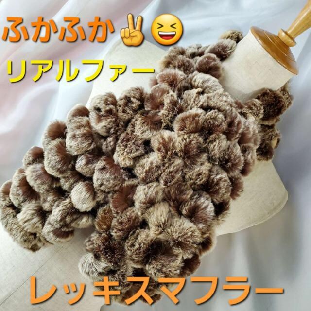 ݁є灚ӂӂIbLXrbg}t[uEn 