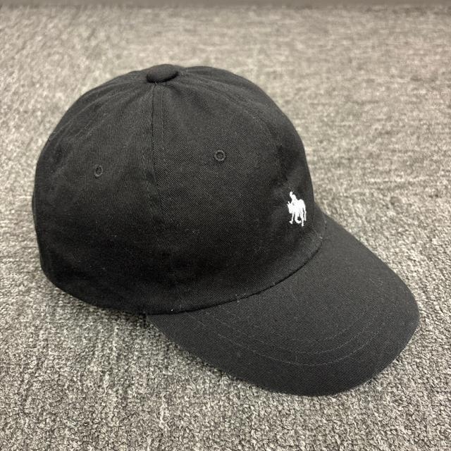  POLO | LbY Lbv Xq ubN  LbY/xr[ 