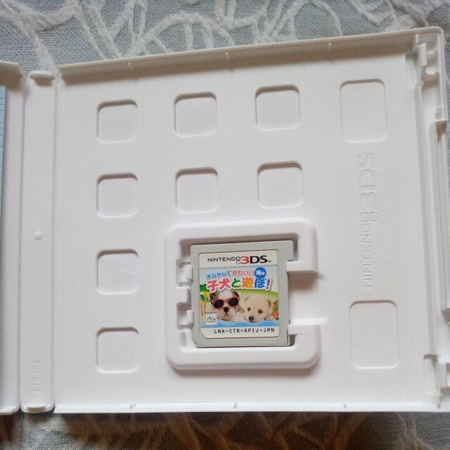3DS pIVł킢qƗVځIC  Q[{/\tg 