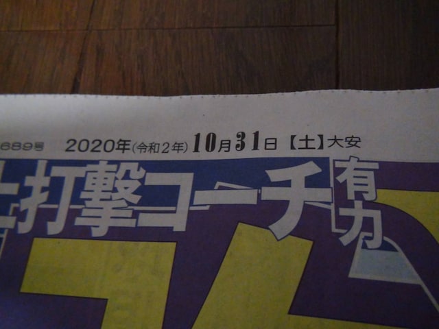 2020N1030̌lD̃fC[X|[cIB  zr[ 