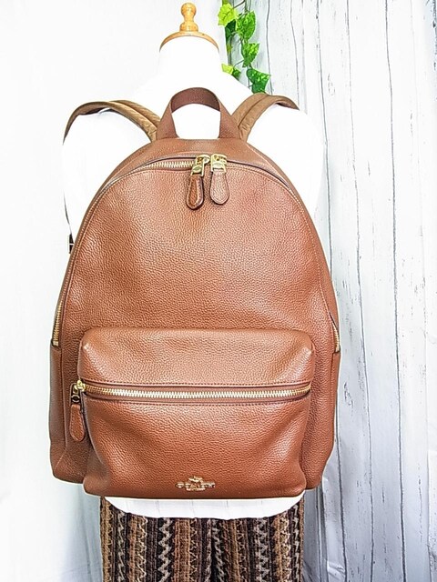 500~X^Ki@Ǖi@R[`@COACH@U[bN@uE@F38288