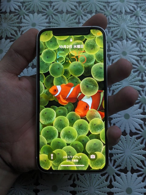 iPhone 12 mini+iPhone 3GSZbg̔