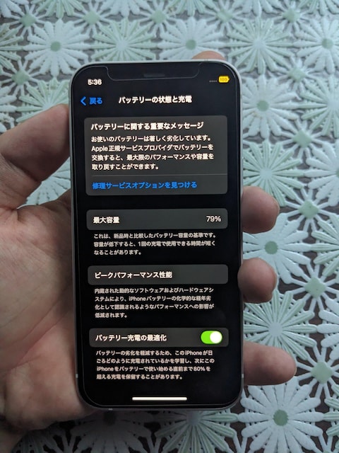 iPhone 12 mini+iPhone 3GSZbg̔