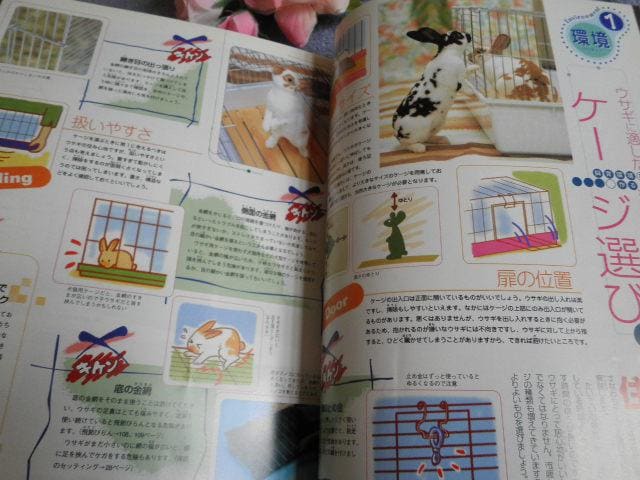 ".PinkyAngel^-^ETM̎犮S}jA."  ybg/|/| 
