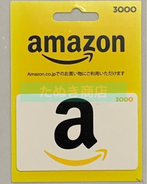 AmazonMtgJ[h 3000~