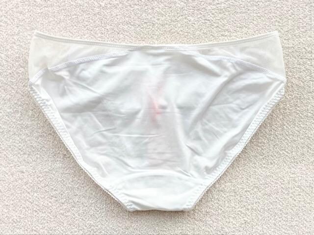 Triumph AMOSTYLE V[c MTCY zCg  t@bV 
