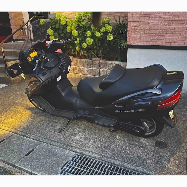 SUZUKI XJCEFCu 650 CP51A }bgtBuCO[! B  /oCN