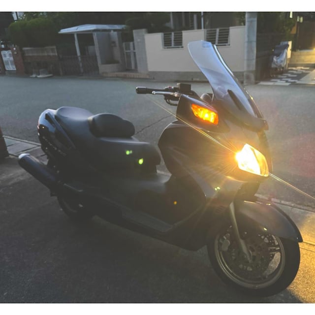SUZUKI XJCEFCu 650 CP51A }bgtBuCO[! B  /oCN
