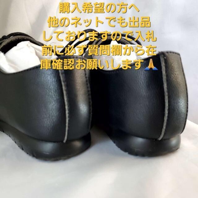 ݁T18z[LXf[X/JWAV[Y24p  t@bV 