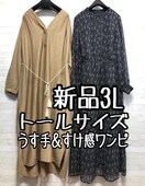 Vi3Lg[}LV䃏s[X2ZbgZL106