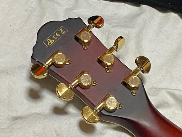 Ibanez エレアコギター　AEC24Ⅱ ソフトケース付美品1948-06-1 Ibanez エレアコギター AEC24Ⅱ ソフトケース付美品1948-06-1