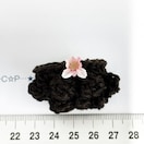 28*nhCh|R|RȂ@9