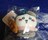 ちいかわ